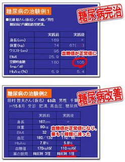 糖尿病】薬なし注射なしで、食事だけで血糖値を下げる藤城式食事法DVD